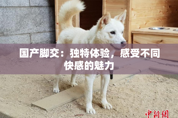 国产脚交：独特体验，感受不同快感的魅力