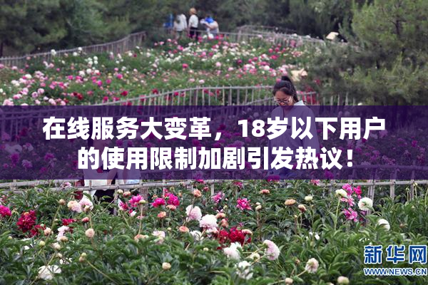 在线服务大变革，18岁以下用户的使用限制加剧引发热议！