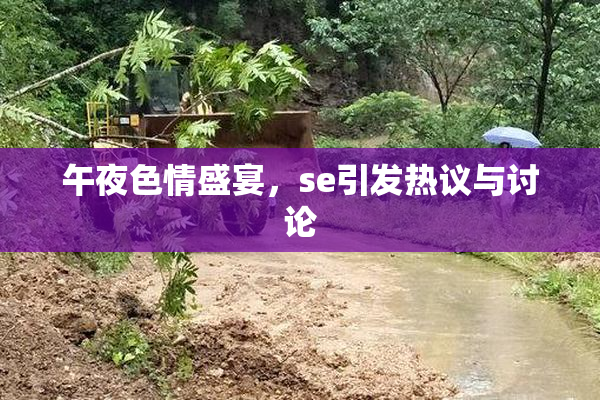 午夜色情盛宴，se引发热议与讨论
