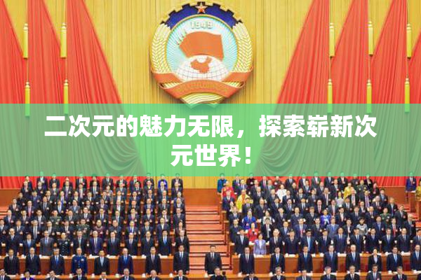 二次元的魅力无限，探索崭新次元世界！