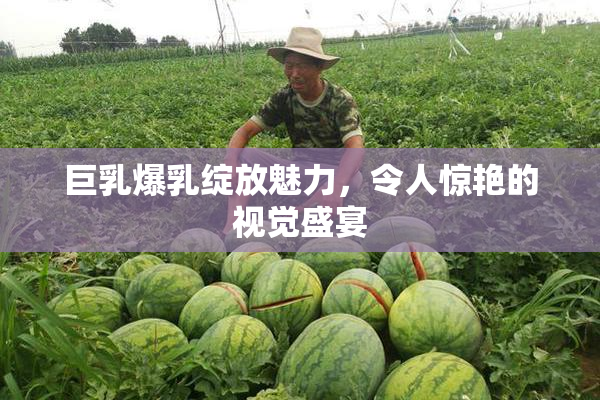 巨乳爆乳绽放魅力，令人惊艳的视觉盛宴