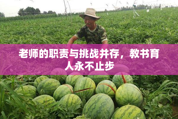 老师的职责与挑战并存，教书育人永不止步