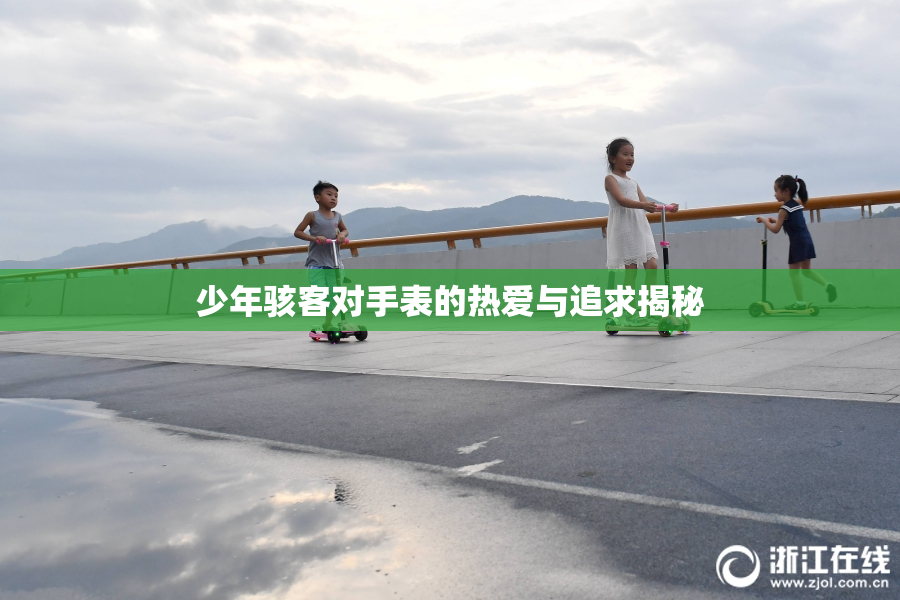 少年骇客对手表的热爱与追求揭秘