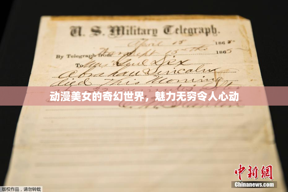 动漫美女的奇幻世界，魅力无穷令人心动
