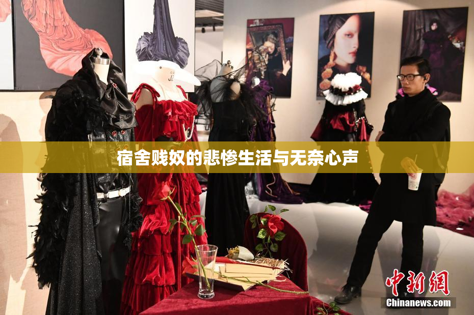 宿舍贱奴的悲惨生活与无奈心声