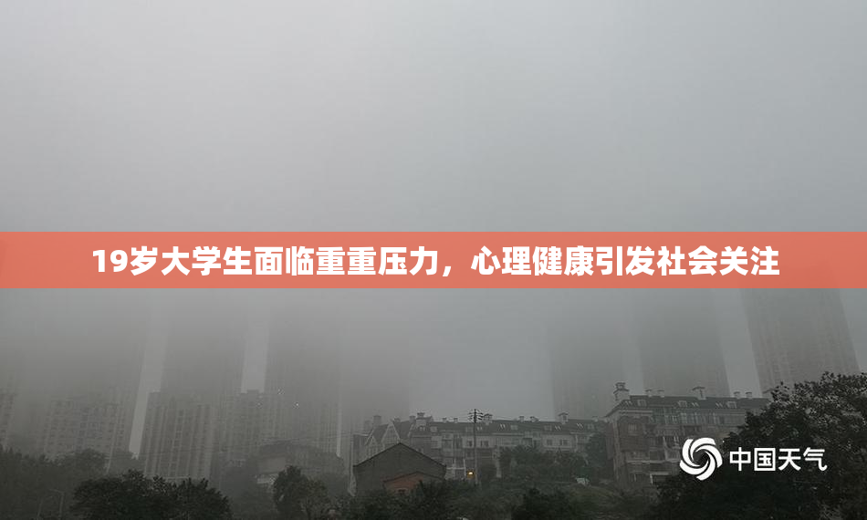19岁大学生面临重重压力，心理健康引发社会关注