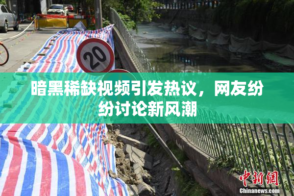 暗黑稀缺视频引发热议，网友纷纷讨论新风潮