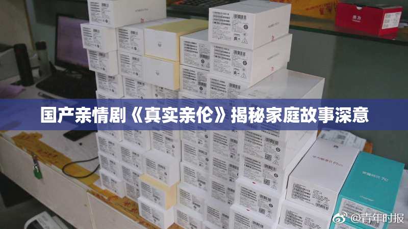 国产亲情剧《真实亲伦》揭秘家庭故事深意