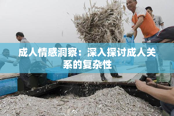 成人情感洞察：深入探讨成人关系的复杂性