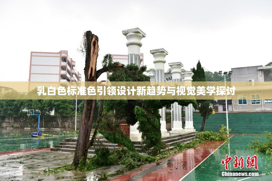 乳白色标准色引领设计新趋势与视觉美学探讨