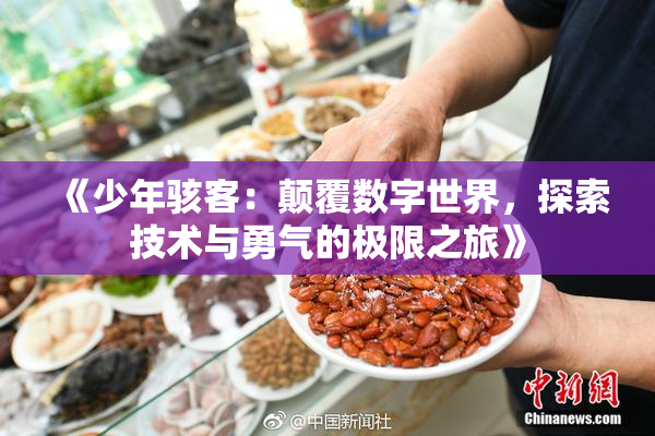 《少年骇客：颠覆数字世界，探索技术与勇气的极限之旅》