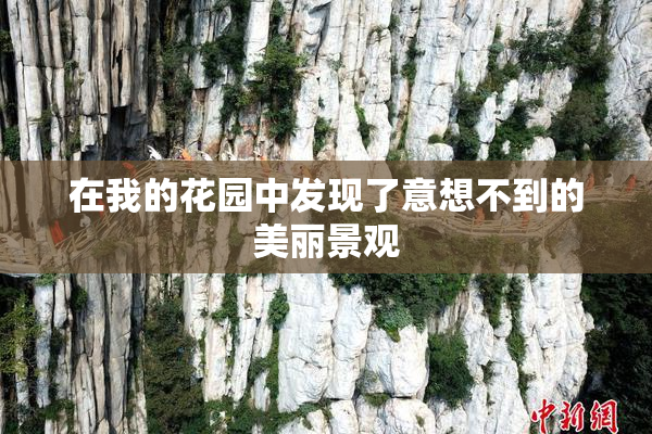 在我的花园中发现了意想不到的美丽景观