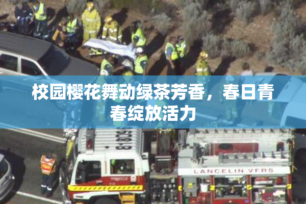校园樱花舞动绿茶芳香，春日青春绽放活力