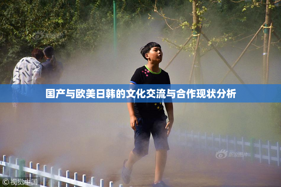国产与欧美日韩的文化交流与合作现状分析