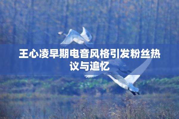 王心凌早期电音风格引发粉丝热议与追忆