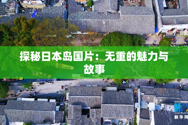 探秘日本岛国片：无重的魅力与故事