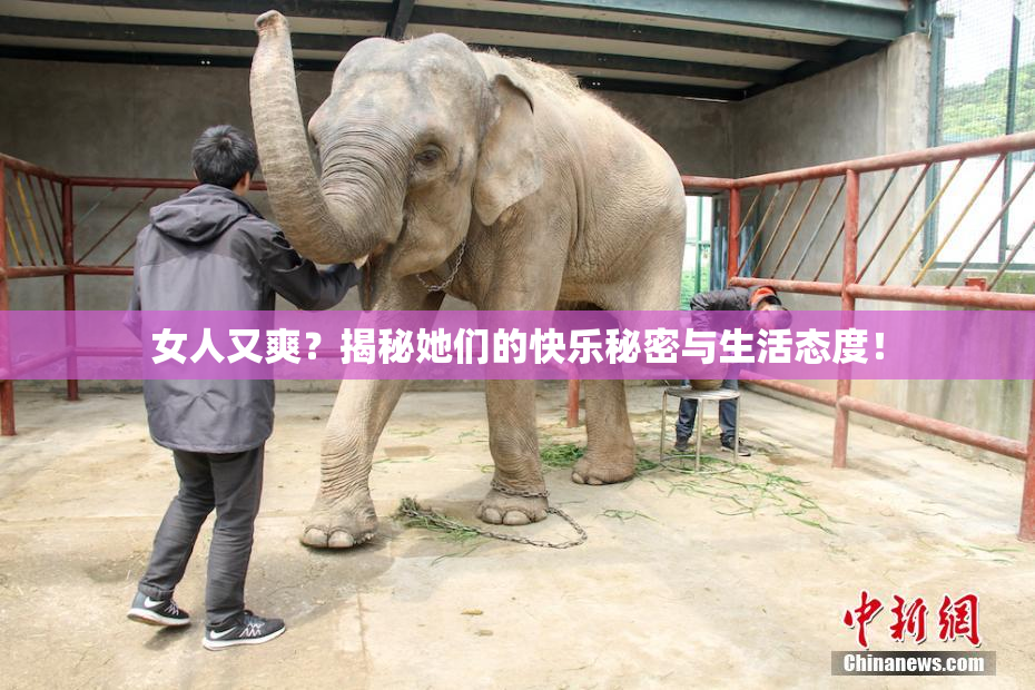 女人又爽？揭秘她们的快乐秘密与生活态度！