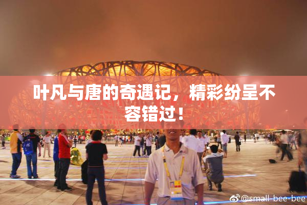叶凡与唐的奇遇记，精彩纷呈不容错过！