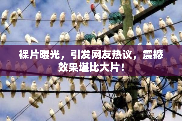 裸片曝光，引发网友热议，震撼效果堪比大片！