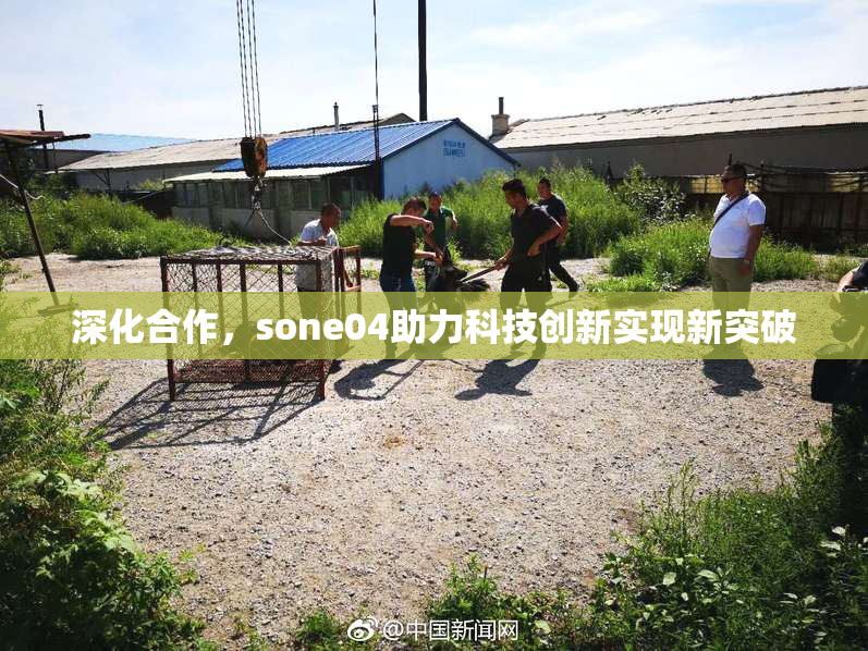 深化合作，sone04助力科技创新实现新突破