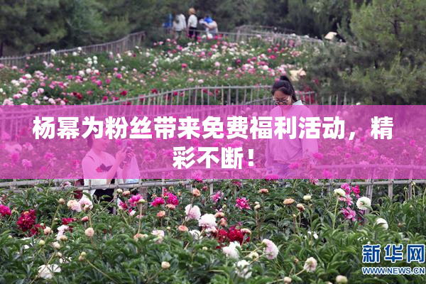 杨幂为粉丝带来免费福利活动，精彩不断！