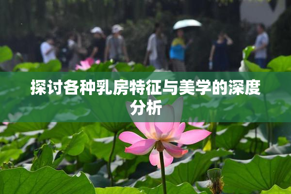 探讨各种乳房特征与美学的深度分析