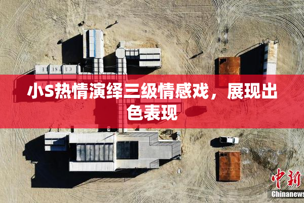 小S热情演绎三级情感戏，展现出色表现