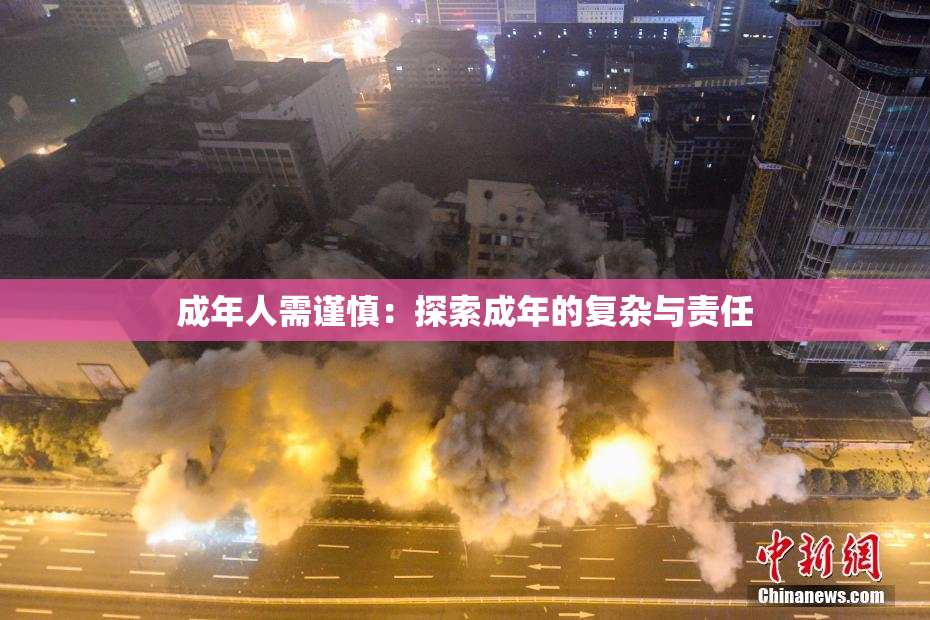 成年人需谨慎：探索成年的复杂与责任