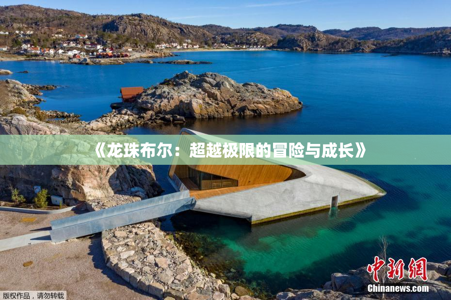 《龙珠布尔：超越极限的冒险与成长》