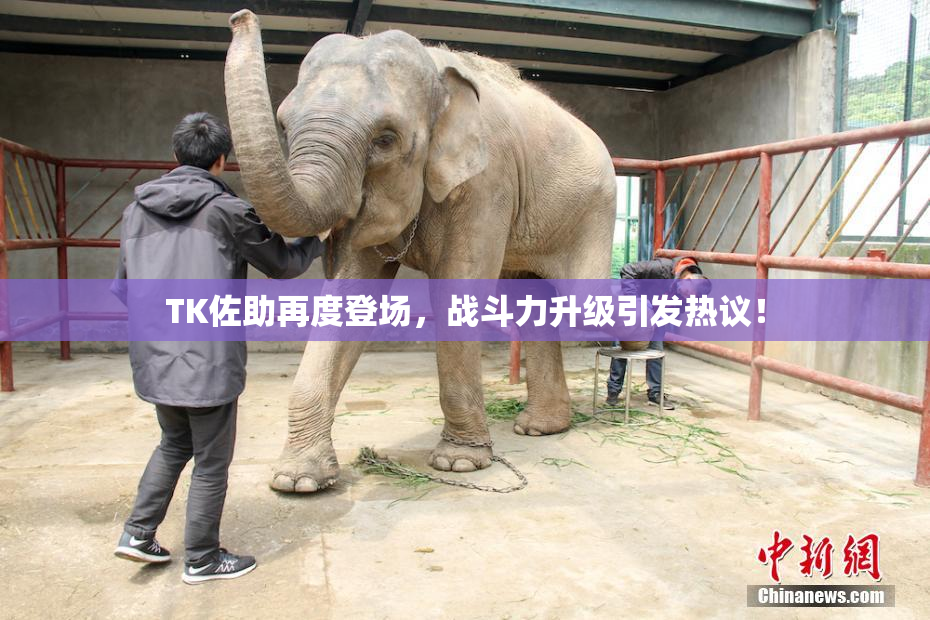 TK佐助再度登场，战斗力升级引发热议！