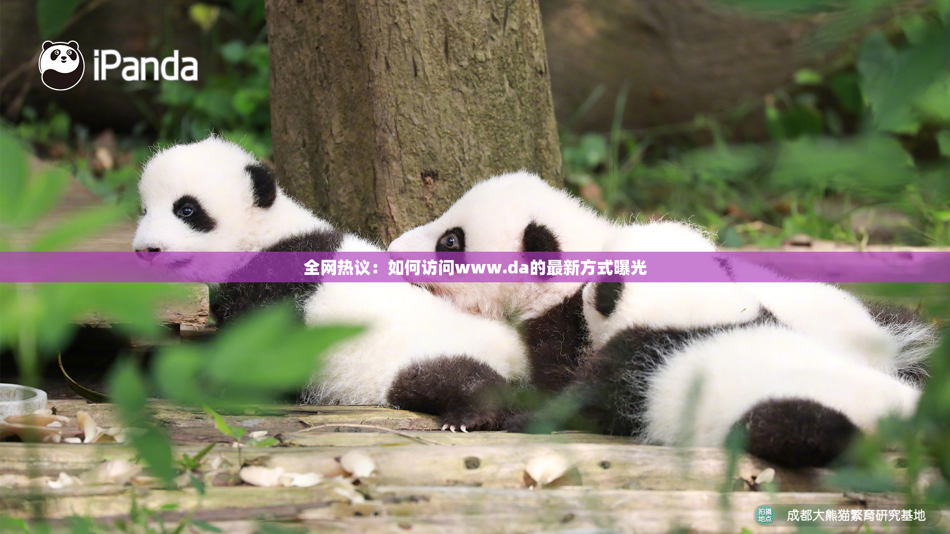 全网热议：如何访问www.da的最新方式曝光