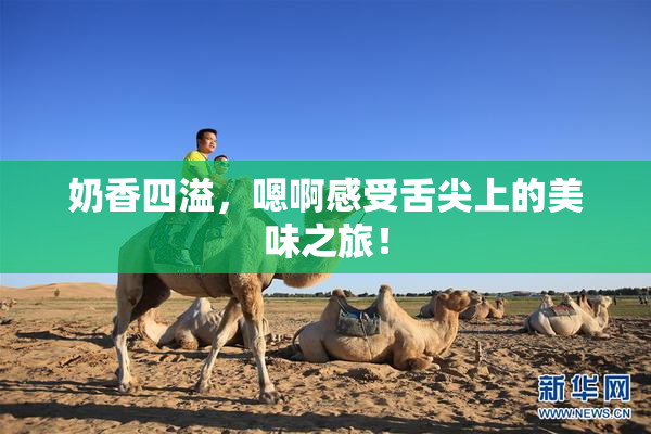 奶香四溢，嗯啊感受舌尖上的美味之旅！