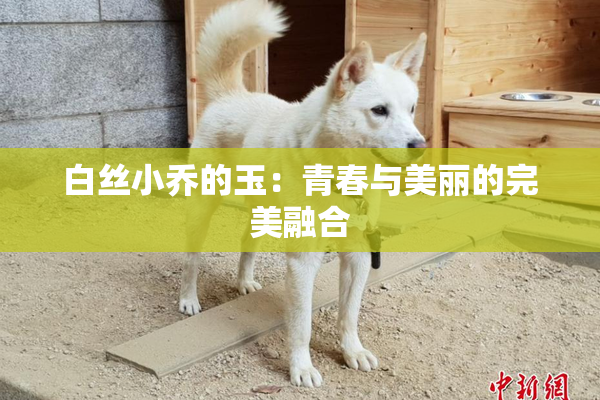 白丝小乔的玉：青春与美丽的完美融合