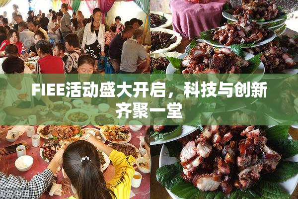 FIEE活动盛大开启，科技与创新齐聚一堂