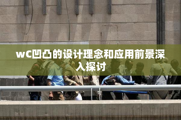 wC凹凸的设计理念和应用前景深入探讨