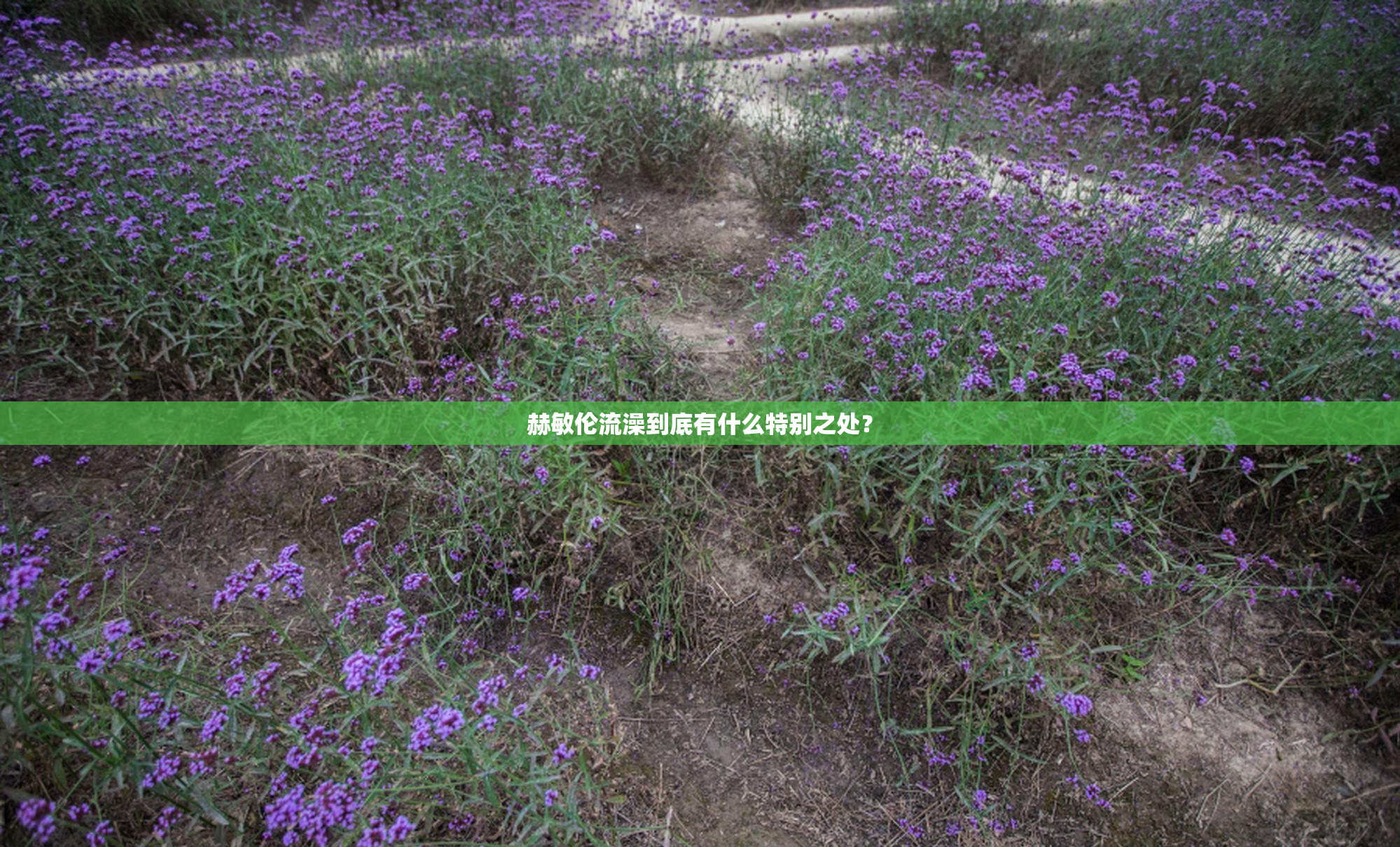 赫敏伦流澡到底有什么特别之处？