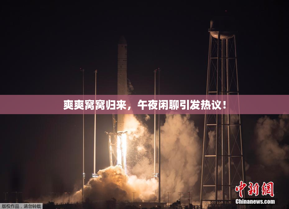 爽爽窝窝归来，午夜闲聊引发热议！