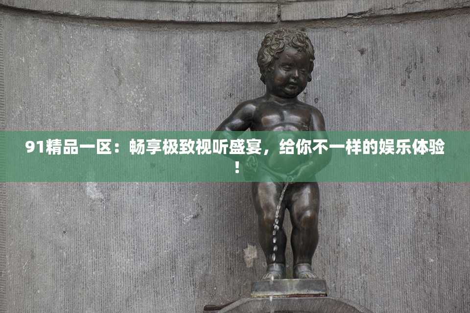 91精品一区：畅享极致视听盛宴，给你不一样的娱乐体验！
