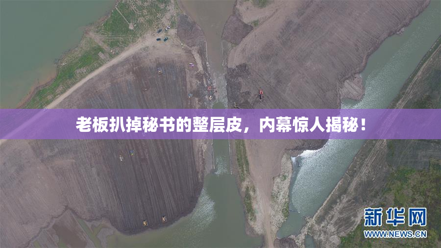 老板扒掉秘书的整层皮，内幕惊人揭秘！