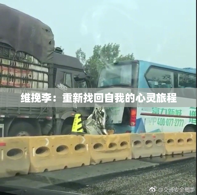 维挽李：重新找回自我的心灵旅程