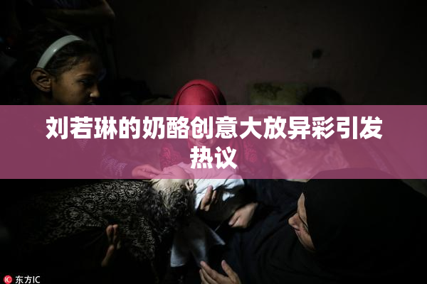 刘若琳的奶酪创意大放异彩引发热议