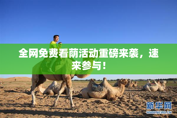 全网免费看荫活动重磅来袭，速来参与！