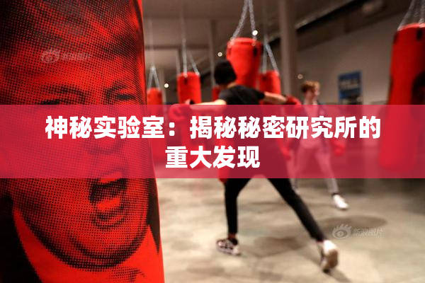 神秘实验室：揭秘秘密研究所的重大发现