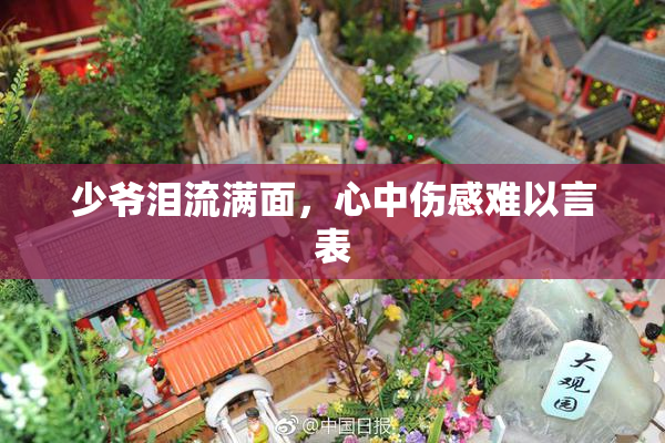 少爷泪流满面，心中伤感难以言表