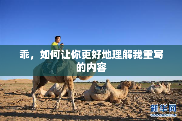 乖，如何让你更好地理解我重写的内容