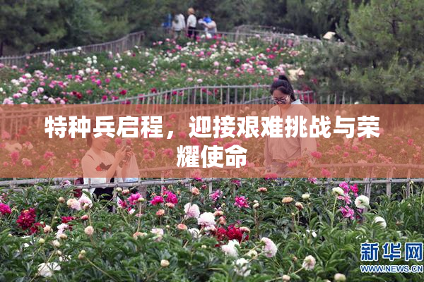 特种兵启程，迎接艰难挑战与荣耀使命