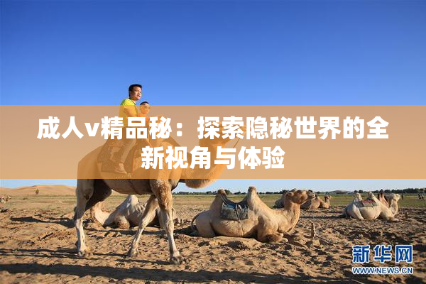 成人v精品秘：探索隐秘世界的全新视角与体验