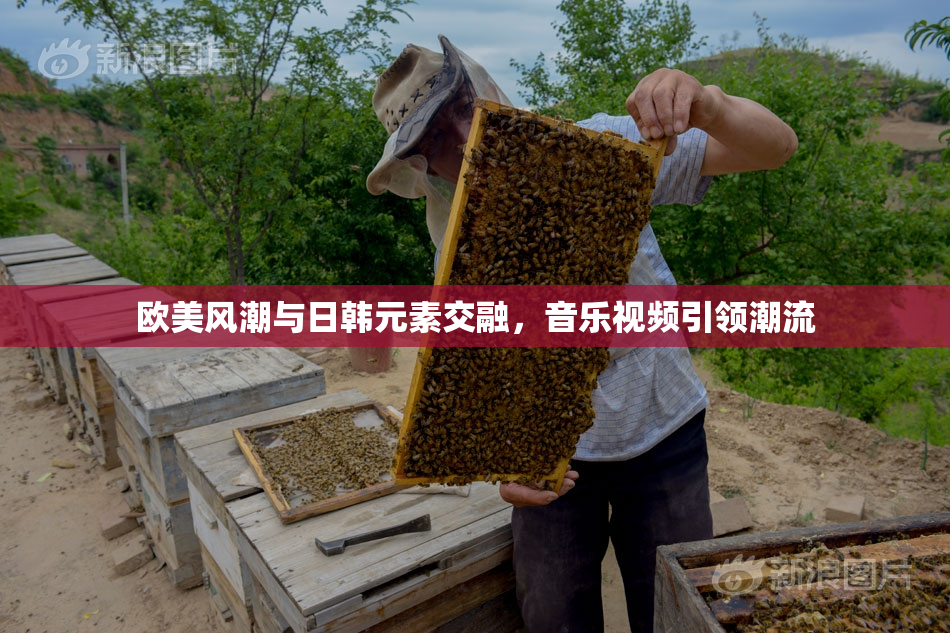 欧美风潮与日韩元素交融，音乐视频引领潮流