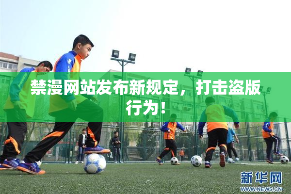禁漫网站发布新规定，打击盗版行为！