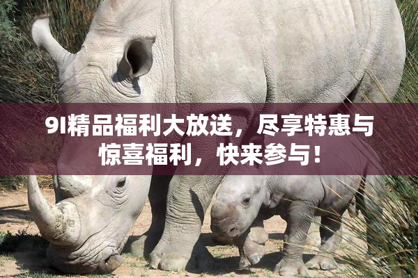 9I精品福利大放送，尽享特惠与惊喜福利，快来参与！